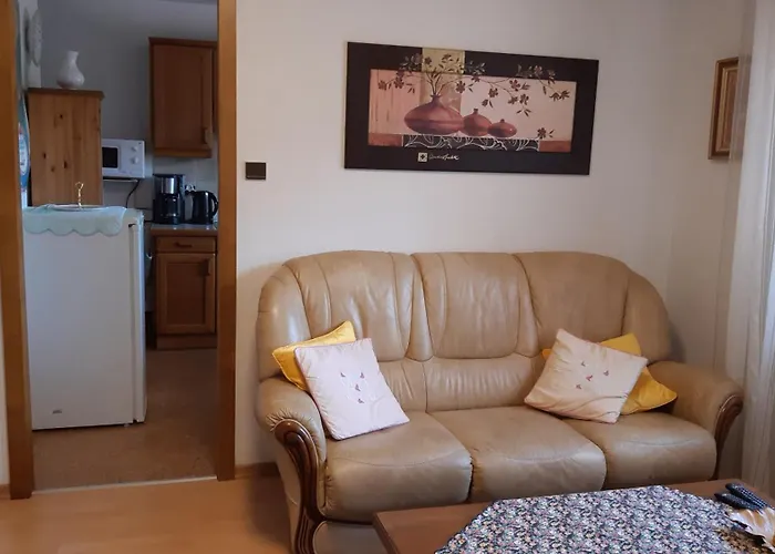 Lejlighed Klipfel Little Venice Colmar